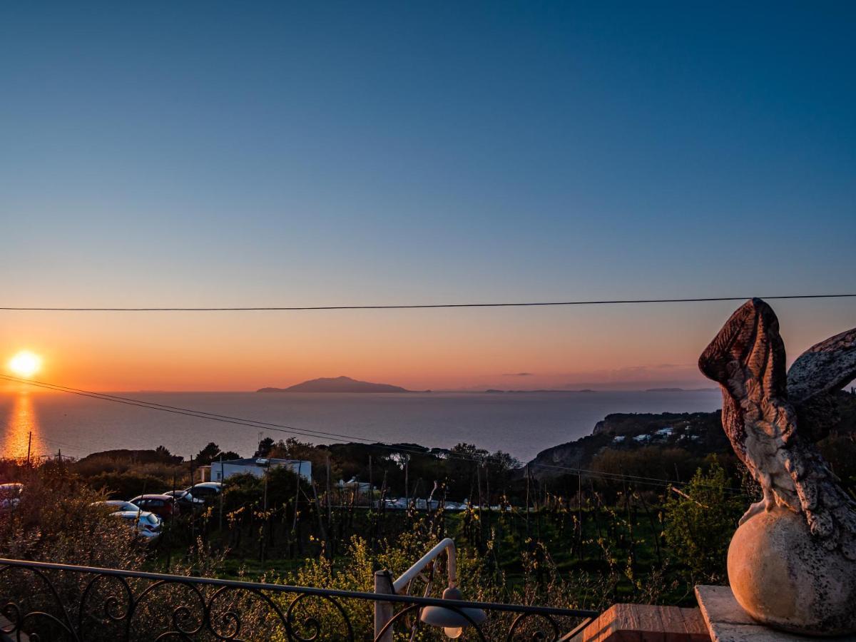 アナカプリ Casa Astra Bed & Breakfast エクステリア 写真