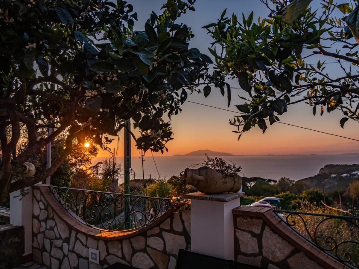 アナカプリ Casa Astra Bed & Breakfast エクステリア 写真